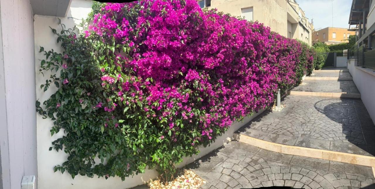 The Shabby House - Charming Seaside Retreat In Central Anzio, Steps From Beach And Train Station Kültér fotó
