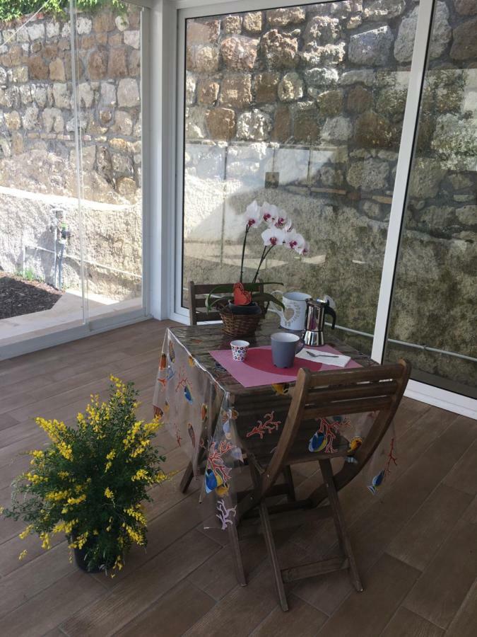 The Shabby House - Charming Seaside Retreat In Central Anzio, Steps From Beach And Train Station Kültér fotó